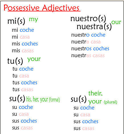 Possessive Adjectives